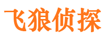 乐山外遇出轨调查取证